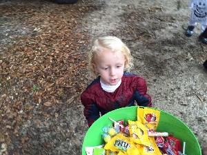 Family Fun Fest 2015